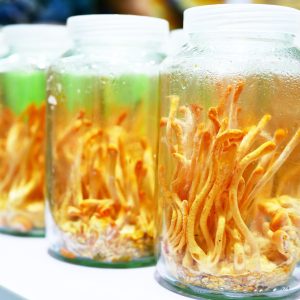 Nấm Đông Trùng Hạ Thảo Tươi Lý Tưởng 50g - Ảnh 4
