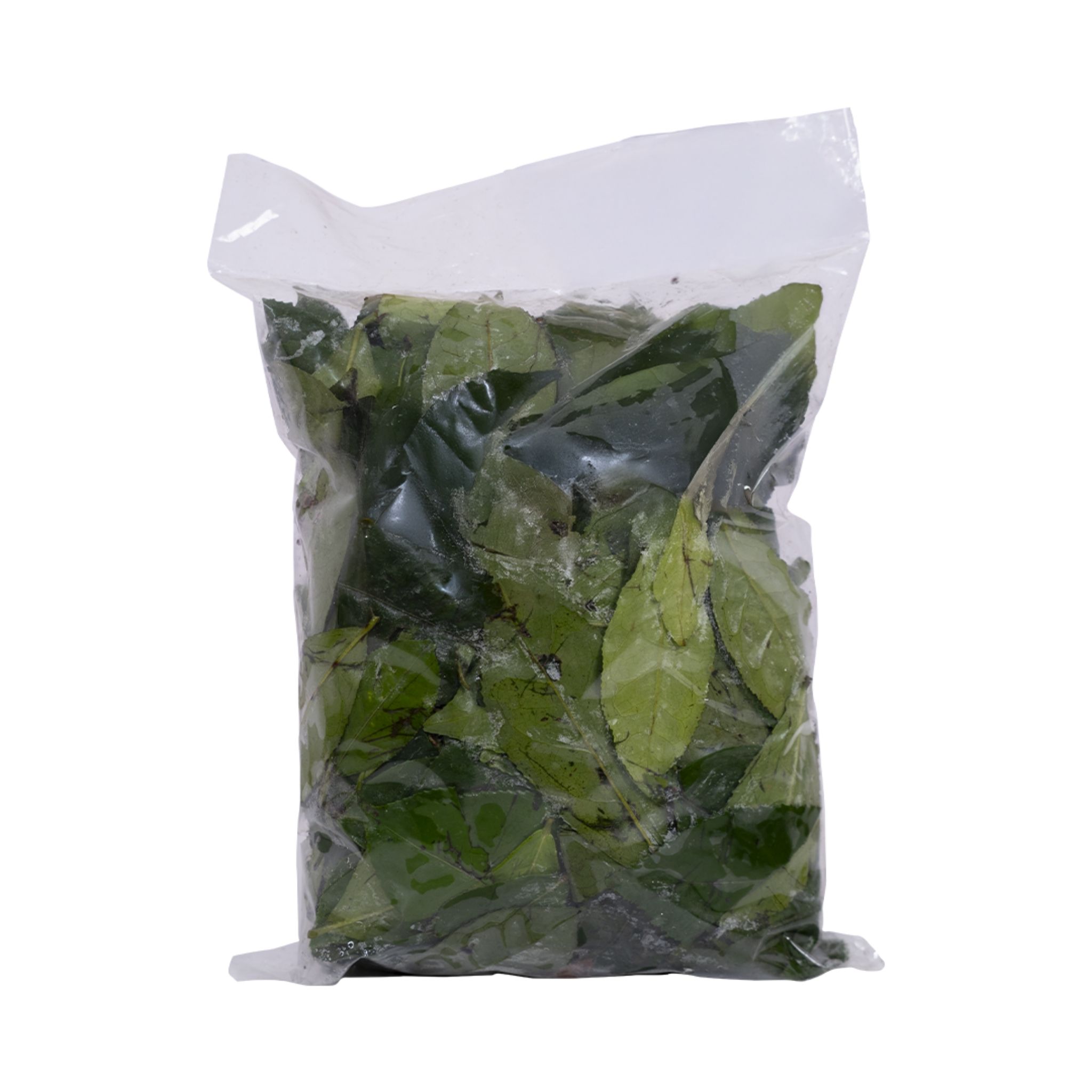 Lá Trà Xanh Đại Ngàn 300g - Ảnh 2