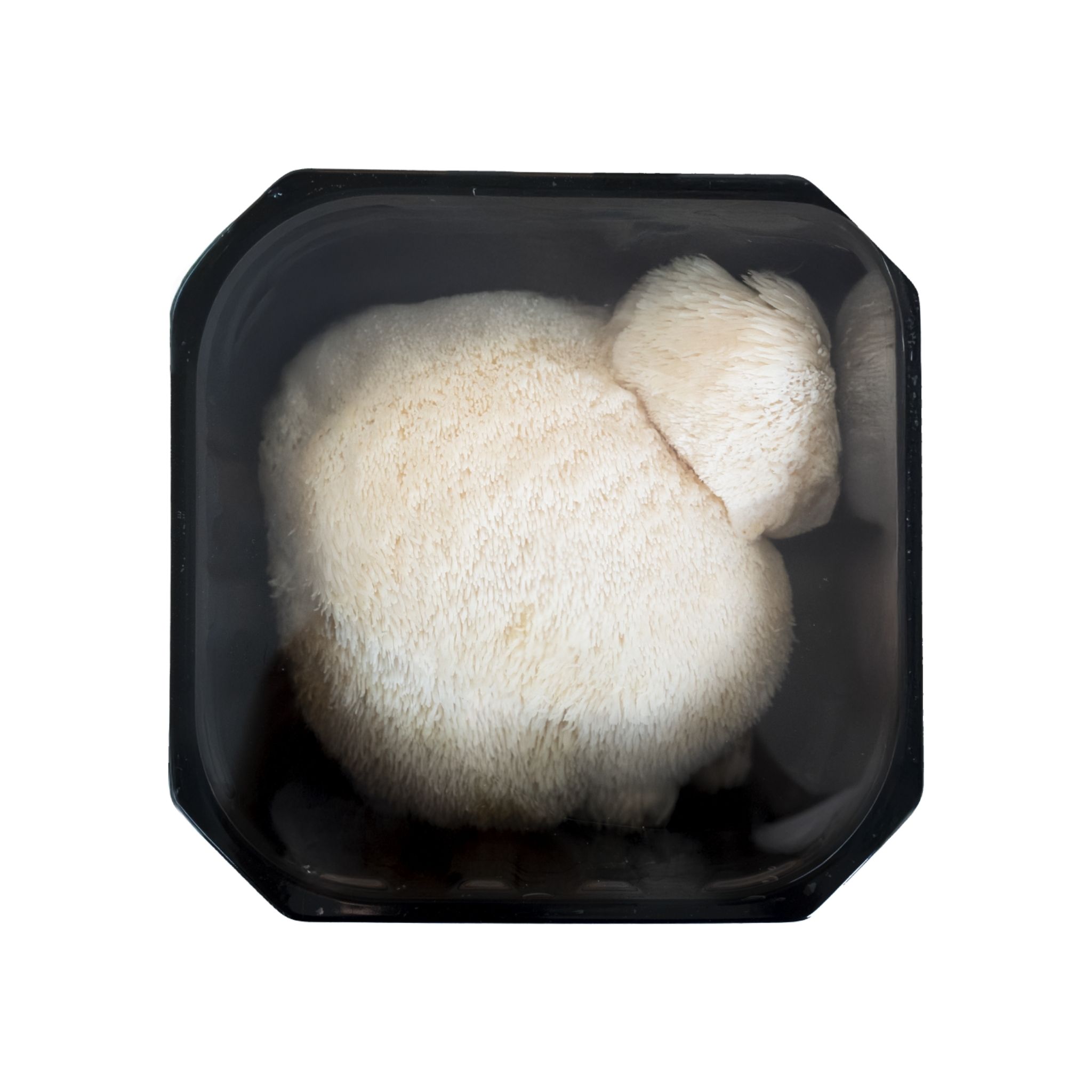 Nấm Hầu Thủ 150g - Ảnh 4