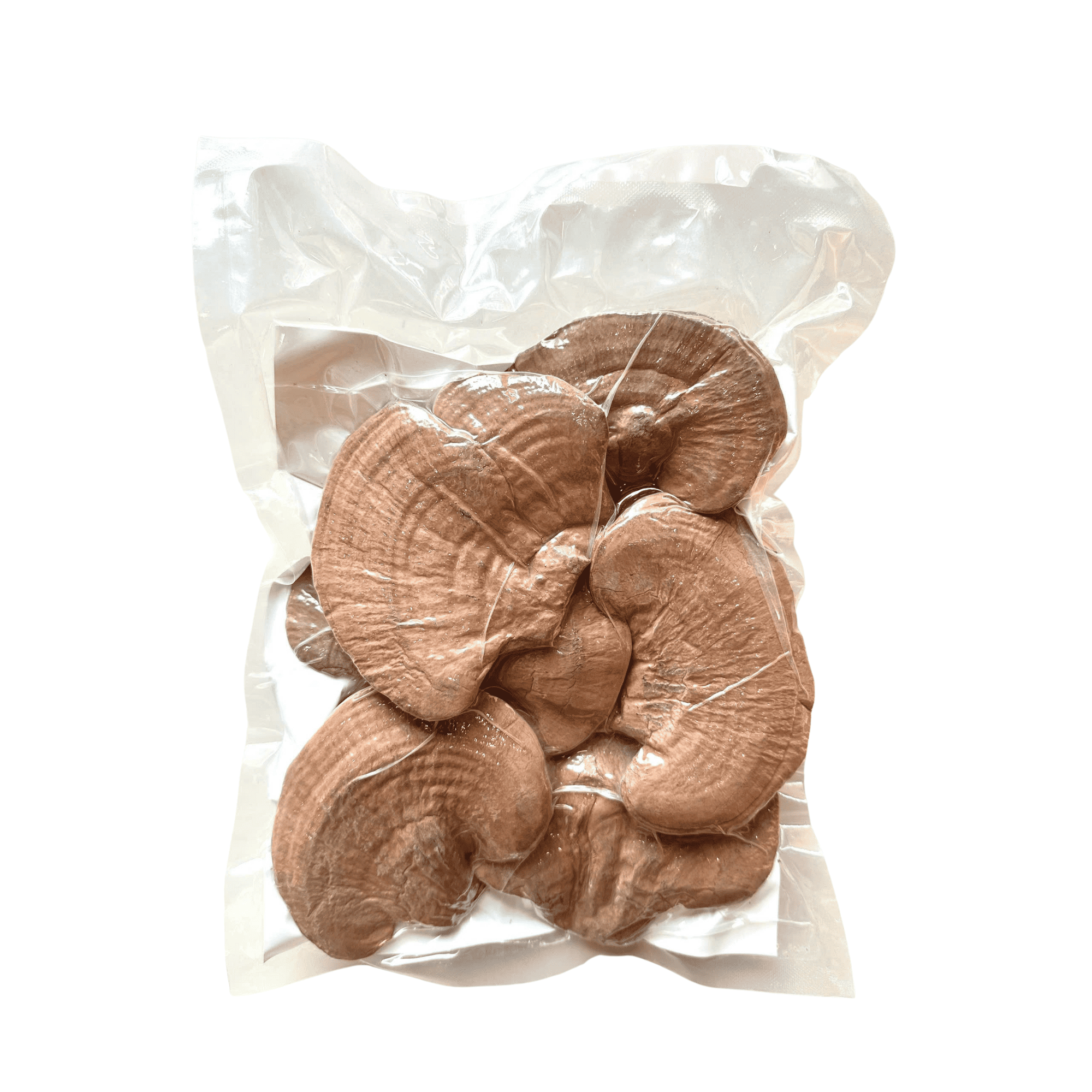 Nấm Linh Chi Khô Nguyên Tai Lý Tưởng, Hộp 200g - Ảnh 2