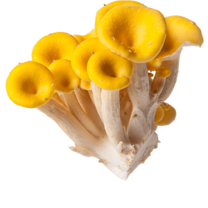 Nấm Ngô 200g - Ảnh 3