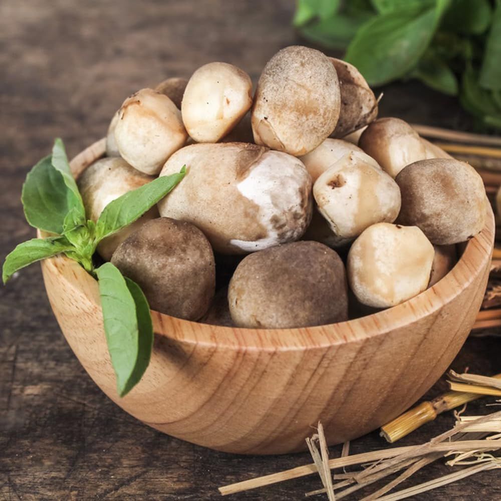 Nấm Rơm Ngâm Nước Muối 200g - Ảnh 4