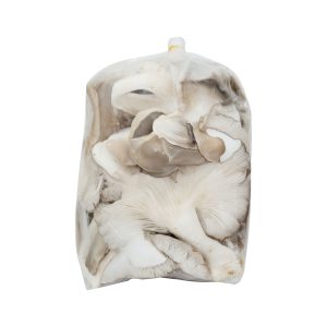 Alternative view of Nấm Sò Nâu 500g