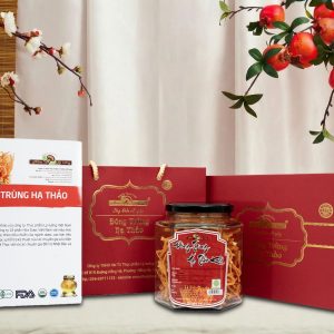 Alternative view of Nấm Đông Trùng Hạ Thảo Khô Lý Tưởng 25g