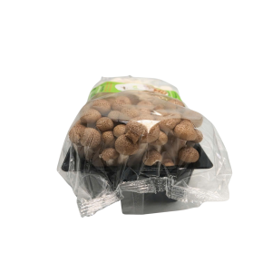 Set nấm Linh Chi nâu và trắng 325g - Ảnh 4