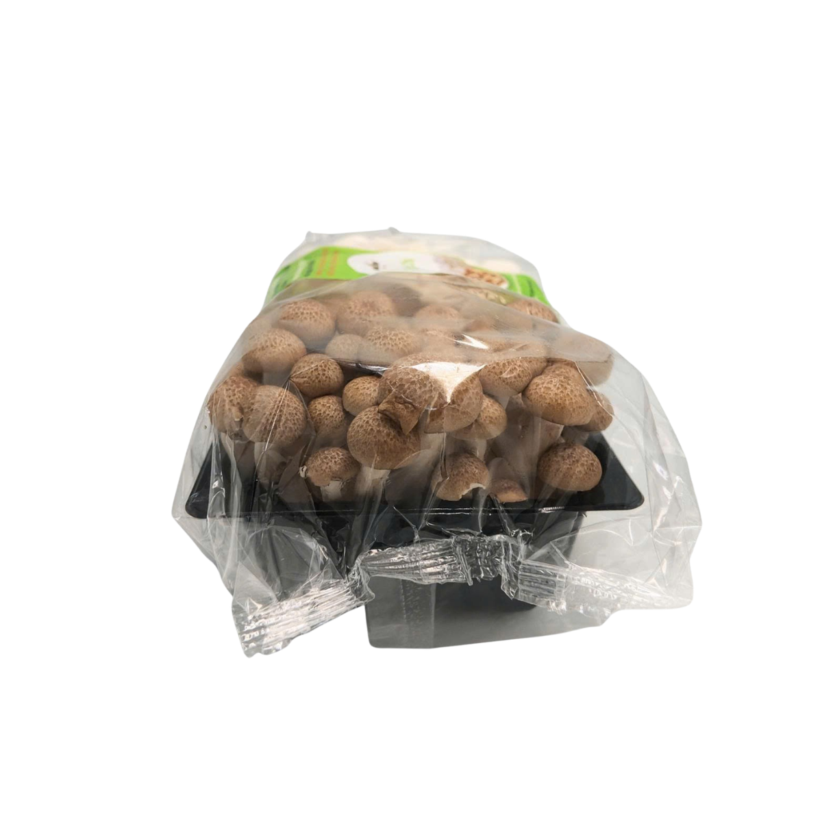 Set nấm Linh Chi nâu và trắng 325g - Ảnh 4